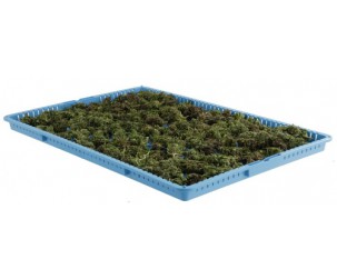 Metro WavDri Cannabis Drying Tray, Model DT1826-P Metro WavDri Cannabis Drying Tray, Model DT1826-P