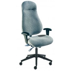 Biofit Avalon AVR-L-RC-EXE-PSAS Executive Office Chair Biofit Avalon AVR-L-RC-EXE-PSAS Executive Office Chair